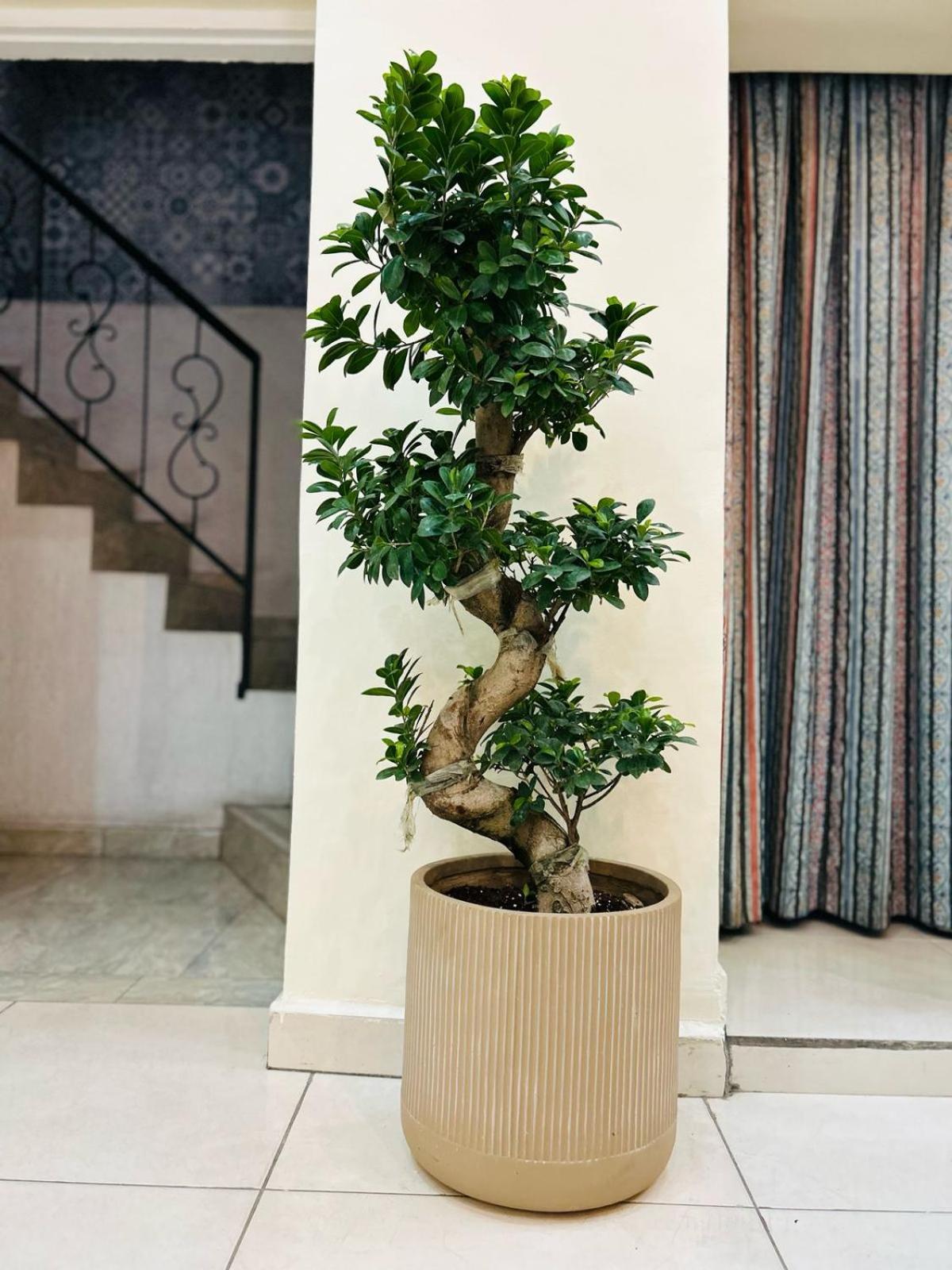 מלון Zaman Ya Zaman Boutique עמאן